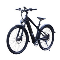 GIN X Hybrid Electric Bike - 500W Power | 12.8Ah Battery | 30mph Speed | 75mi Range