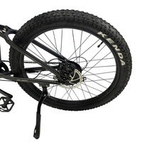 Allegro MTB Electric Bike - 1000W Power | 20Ah Battery | 30mph Speed | 84mi Range