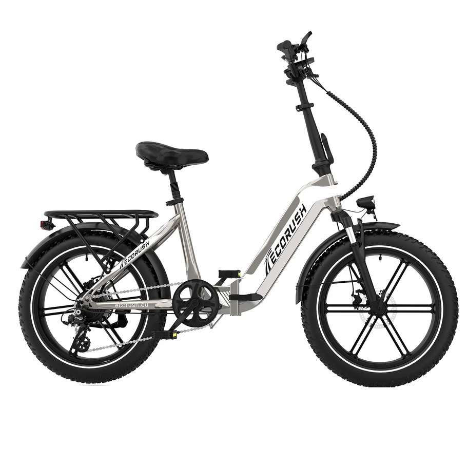ECORUSH ECO R2 Electric Bike - 250W Power | 10.4Ah Battery | 15.5mph Speed | 55mi Range