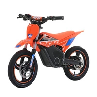 RFN Warrior Kids SX-E700 SM Electric Motorcycle - 700W Power | 7.5Ah Battery | 22mph Speed | 16mi Range | Supermoto Tyres