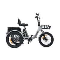 Hidoes T2 Electric Bike - 250W Power | 17.4Ah Battery | 15.5mph Speed | 30mi Range