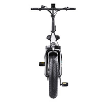 Hidoes BF1 Foldable Electric Bike - 750W Power | 13Ah Battery | 25mph Speed | 41mi Range