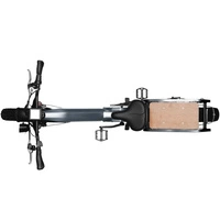 Himiway Big Dog Electric Bike - 1200W Power | 20Ah Battery | 25mph Speed | 80mi Range