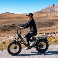 Cyrusher Rumble Electric Bike - 500W Power | 18Ah Battery | 22mph Speed | 58mi Range