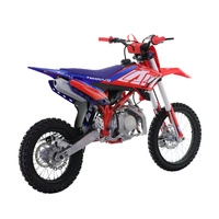 RFN Thunder140 Pro Petrol Motorcycle - 140cc Engine | 11.15BHP Power | 47mph Speed | 3.2L Tank