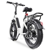 Hidoes BF1 Foldable Electric Bike - 750W Power | 13Ah Battery | 25mph Speed | 41mi Range