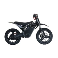 RFN Warrior Kids SX-E500 Electric Motorcycle - 500W Power | 5Ah Battery | 19mph Speed | 11mi Range