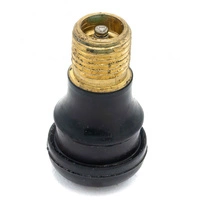 Air Valve Tubeless Conversion