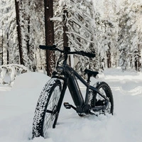 Himiway D5 Zebra High-Step Electric Bike - 750W Power | 20Ah Battery | 28mph Speed | 80mi Range