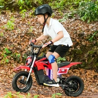 Isinwheel A12 Electric Bike - 350W Power | 5.2Ah Battery | 15.5mph Speed | 15mi Range | 12