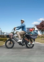 Engwe LE20 Electric Bike - 250W Power | 38.4Ah Battery | 15.5mph Speed | 218mi Range | Dual Battery