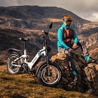 Cyrusher Ovia EEC Electric Bike - 750W Power | 17Ah Battery | 28mph Speed | 50mi Range