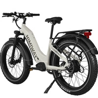 Himiway D5 Zebra Step-Thru Electric Bike - 750W Power | 20Ah Battery | 28mph Speed | 80mi Range