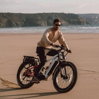 Cyrusher Ranger Electric Bike - 750W Power | 20Ah Battery | 28mph Speed | 75mi Range