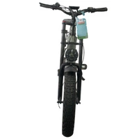 Starsfly Pride XC-29 Electric Bike - 750W Power | 20Ah Battery | 30mph Speed | 75mi Range | TDL6151