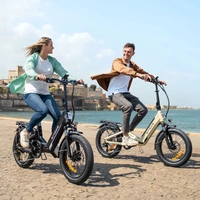 Engwe L20 3.0 Boost Electric Bike - 250W Power | 13.5Ah Battery | 15.5mph Speed | 84mi Range