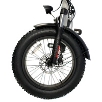 Starsfly PowerStep Electric Bike - 500W Power | 13Ah Battery | 21mph Speed | 37mi Range | TDL6156