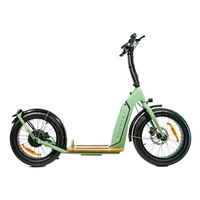 Element Bondi Electric Scooter - 800W Power | 14Ah Battery | 22mph Speed | 30mi Range