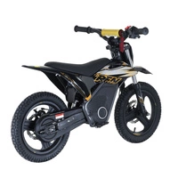 RFN Warrior Kids SX-E500 Electric Motorcycle - 500W Power | 5Ah Battery | 19mph Speed | 11mi Range