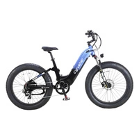 Cyrusher Roam Electric Bike - 750W Power | 15.6Ah Battery | 28mph Speed | 62mi Range | Step-Thru All-Terrain 
