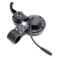 Dashboard Kaabo Mantis 10 Throttle