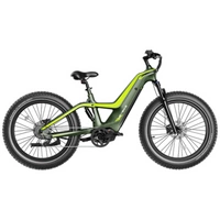 Heybike Hero Electric Bike - 1400W Power | 18Ah Battery | 35mph Speed | 60mi Range | Carbon Fiber Ebike | High-Step