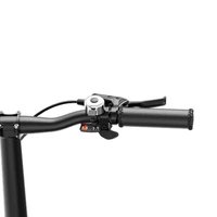 Heybike Helio F Foldable Electric Bike - 250W Power | 10Ah Battery | 15.5mph Speed | 75mi Range | Artists Limited Edition