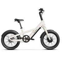 Heybike EC Compact City Electric Bike - 250W Power | 13Ah Battery | 15.5mph Speed | 68mi Range