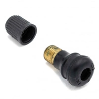 Air Valve Tubeless Conversion