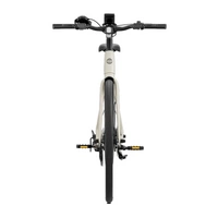 Heybike EC1 Electric Bike - 250W Power | 10Ah Battery | 15.5mph Speed | 62mi Range