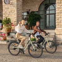 Fiido C700 Electric Bike - 350W Power | 7.8Ah Battery | 15.5mph Speed | 52mi Range