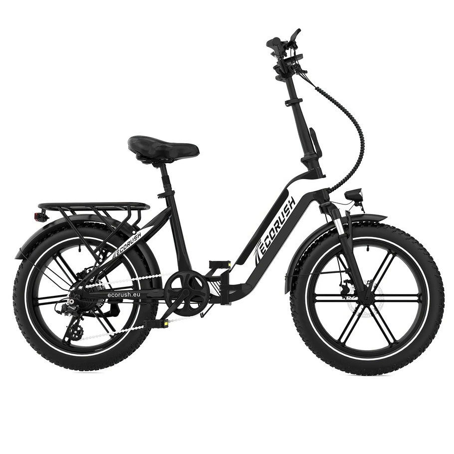 ECORUSH ECO R2 Electric Bike - 250W Power | 10.4Ah Battery | 15.5mph Speed | 55mi Range