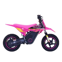 RFN Warrior Kids SX-E400 Electric Motorcycle - 400W Power | 5.2Ah Battery | 15.5mph Speed | 11mi Range