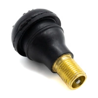 Air Valve Tubeless Conversion