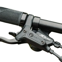 Fiido Nomads Touring Electric Bike  - 250W Power | 11.7Ah Battery | 15.5mph Speed | 148mi Range | Triple Battery