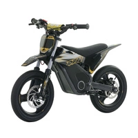 RFN Warrior Kids SX-E700 SM Electric Motorcycle - 700W Power | 7.5Ah Battery | 22mph Speed | 16mi Range | Supermoto Tyres