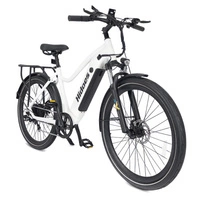 Hidoes BN1 Electric Bike - 800W Power | 13Ah Battery | 15.5mph Speed | 22mi Range
