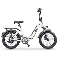 Hidoes BF1 Foldable Electric Bike - 750W Power | 13Ah Battery | 25mph Speed | 41mi Range