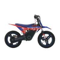 RFN Warrior Kids SX-E500 Electric Motorcycle - 500W Power | 5Ah Battery | 19mph Speed | 11mi Range