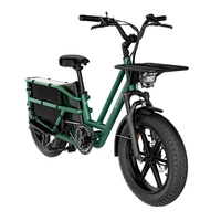 Fiido T2 Longtail Cargo Electric Bike - 2025 | 750W Power | 20.8Ah Battery | 25mph Speed | 85mi Range
