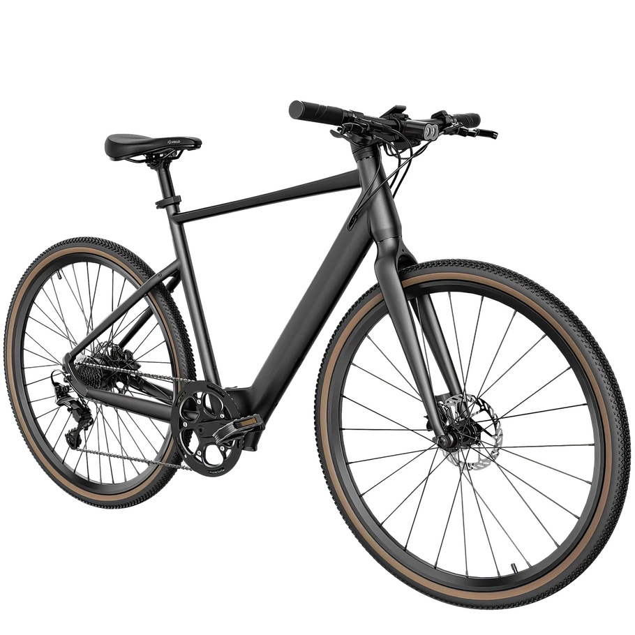 Fiido C21 Electric Bike - 250W Power | 5.8Ah Battery | 15.5mph Speed | 62mi Range