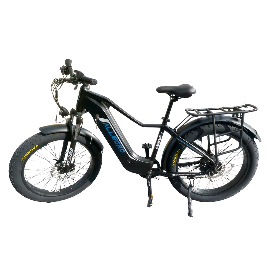 Allegro Hurricane Electric Bike - 750W Power | 20Ah Battery | 30mph Speed | 40mi Range | TDL6152