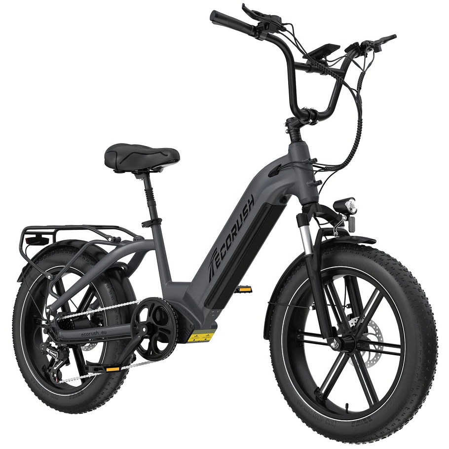 ECORUSH ECO R6 Electric Bike - 250W Power | 15.6Ah Battery | 15.5mph Speed | 75mi Range