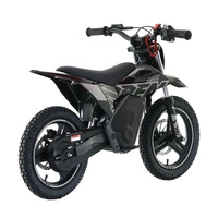RFN Warrior Kids SX-E500 Electric Motorcycle - 500W Power | 5Ah Battery | 19mph Speed | 11mi Range