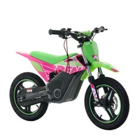 RFN Warrior Kids SX-E500 Electric Motorcycle - 500W Power | 5Ah Battery | 19mph Speed | 11mi Range