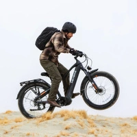 Heybike Alpha Electric Bike - 750W Power | 14.1Ah Battery | 28mph Speed | 60mi Range | High-Step