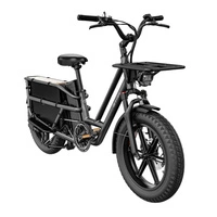 Fiido T2 Longtail Cargo Electric Bike - 2025 | 250W Power | 20.8Ah Battery | 25mph Speed | 85mi Range