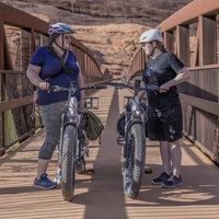 Heybike Alpha Electric Bike - 750W Power | 14.1Ah Battery | 28mph Speed | 60mi Range | High-Step