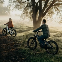 Himiway D5 Zebra High-Step Electric Bike - 750W Power | 20Ah Battery | 28mph Speed | 80mi Range