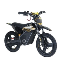 RFN Warrior Kids SX-E500 Electric Motorcycle - 500W Power | 5Ah Battery | 19mph Speed | 11mi Range